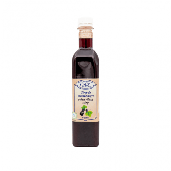 sirop-coacaze-negre-fl500-800×800 sirop-coacaze-negre-fl500-800×800